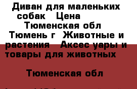 Диван для маленьких собак › Цена ­ 1 500 - Тюменская обл., Тюмень г. Животные и растения » Аксесcуары и товары для животных   . Тюменская обл.